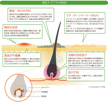 デミ ビオーブ デミ ビオーブ