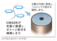 ミルボン,エルジューダ,エマルジョン,アウトバス ミルボン,エルジューダ,エマルジョン,アウトバス