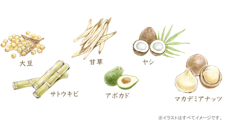 デミ ユント デミ ユント