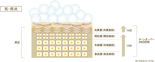 デミ ユント デミ ユント