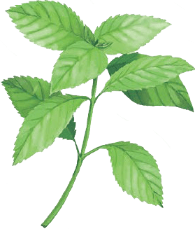 夏のお悩みといえばコレ。厳しい夏の暑さに