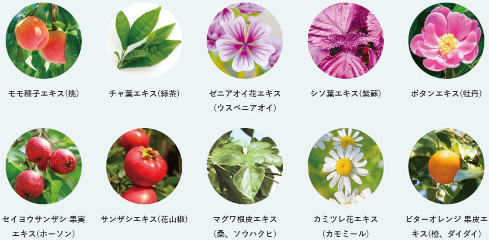 ジアミンを除去する10種類の植物エキス
