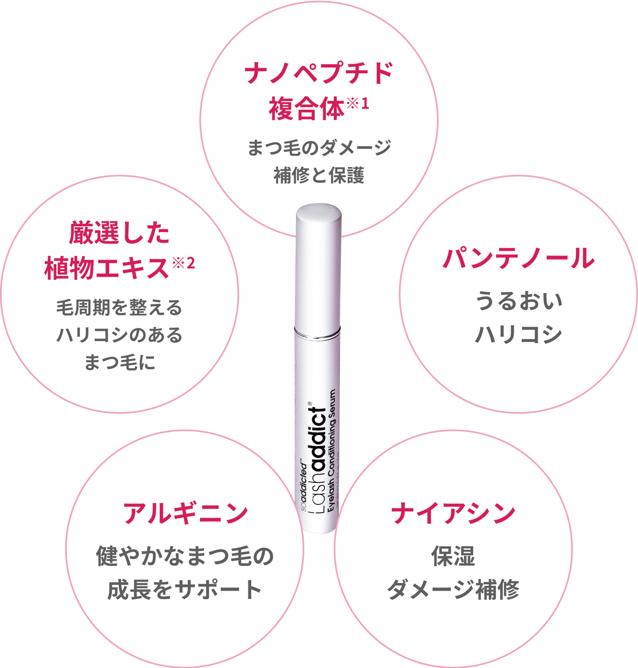 理想の目元を支える5つの美容成分
