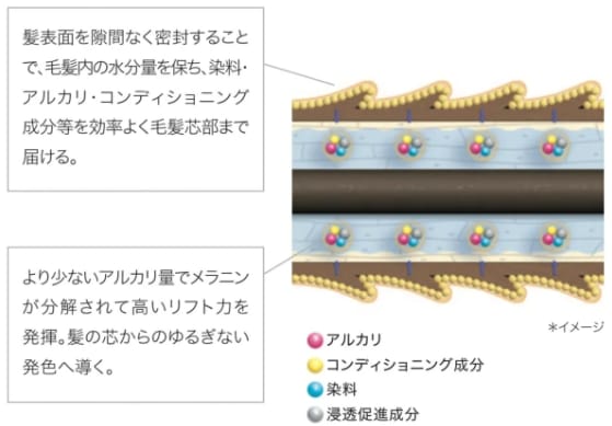 マイクロオイルイン処方