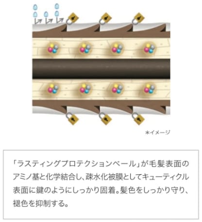 ラスティングプロテクションベール