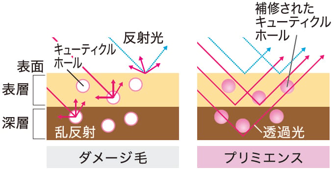 スキンケア由来のテクノロジー：ツヤ