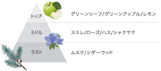 FRAGRANCE