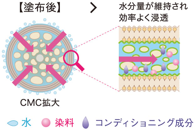 スキンケア由来のテクノロジー：うるおい