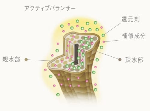 クセ毛をより自然で扱いやすく：アクティブバランシング機能