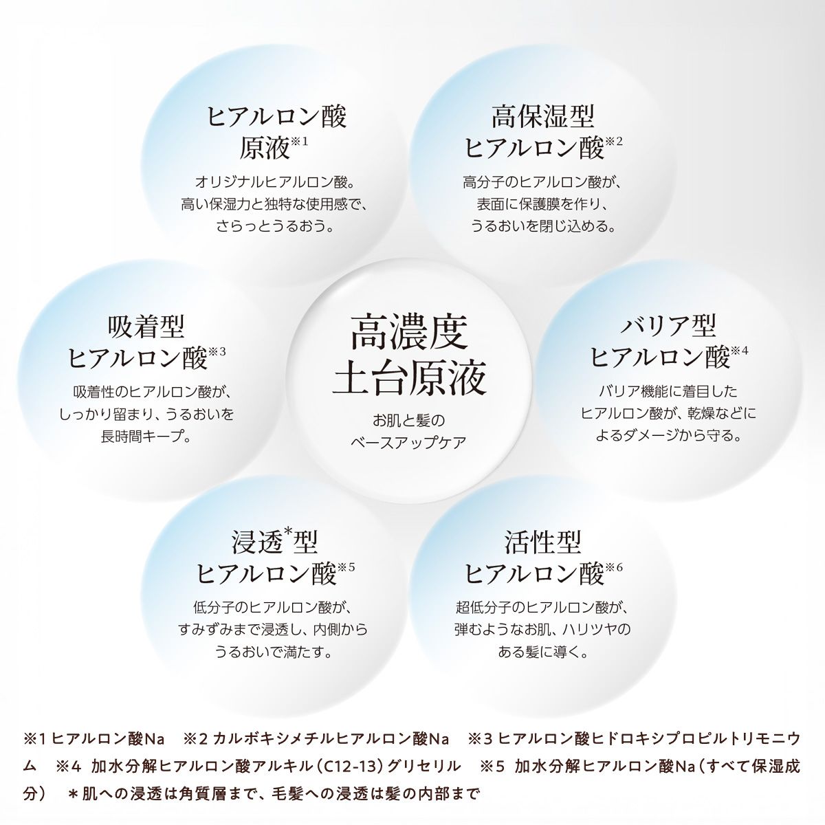 潤いの原点。6種類のヒアルロン酸がお肌と髪にアプローチ