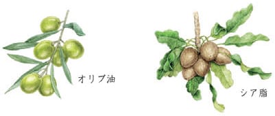 髪を包み込み、なめらかな手触りに