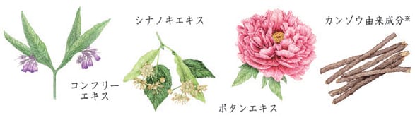 美しいツヤとうるおいを