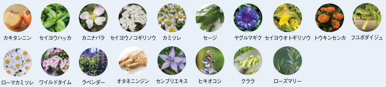 17種類のナチュラルエキス配合