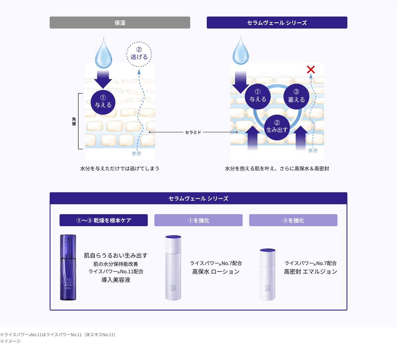 ライスパワー3品で叶える、もっちり潤密肌