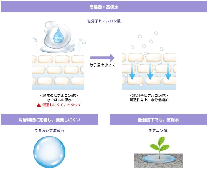高保水力