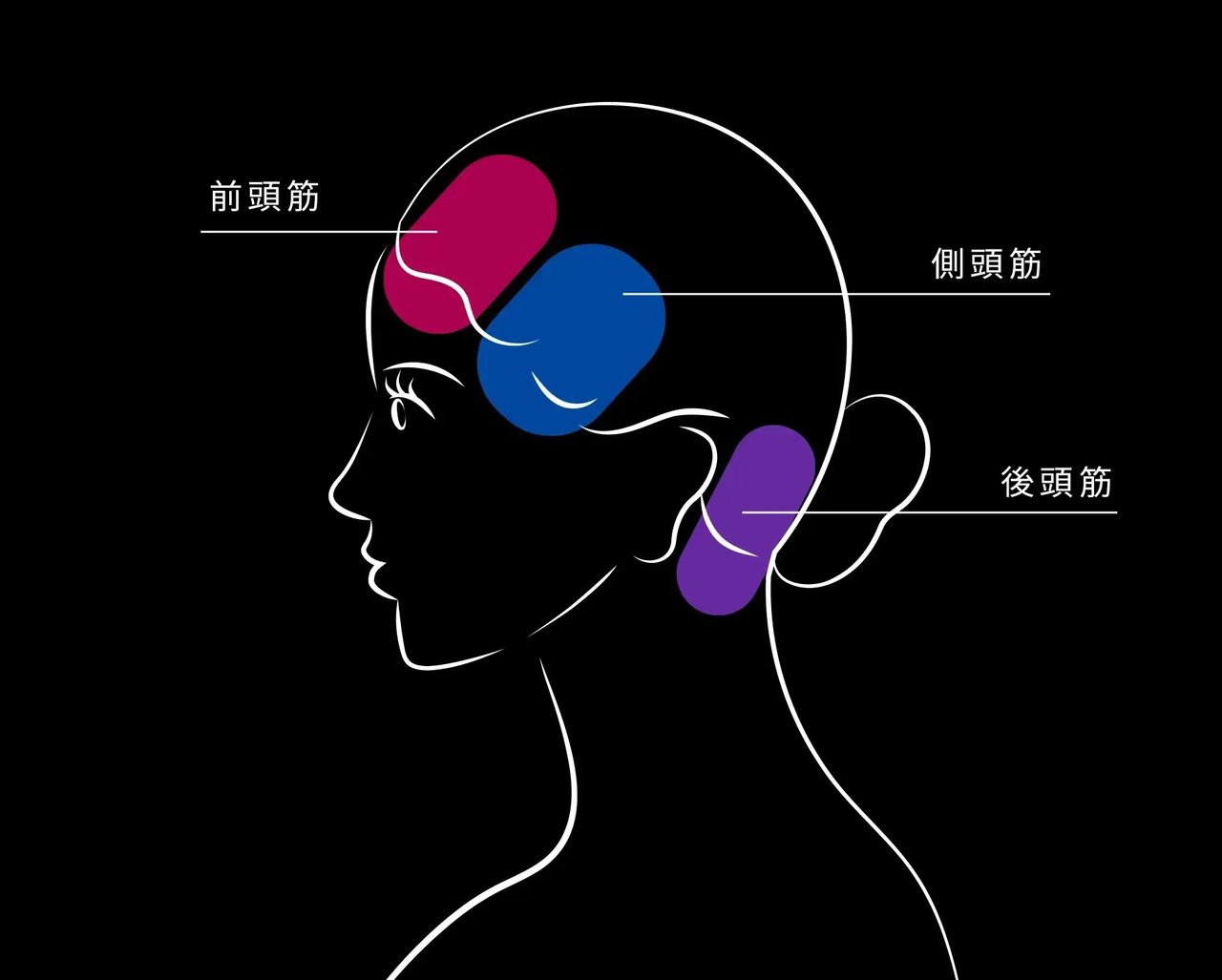 顔のもたつきは頭皮から