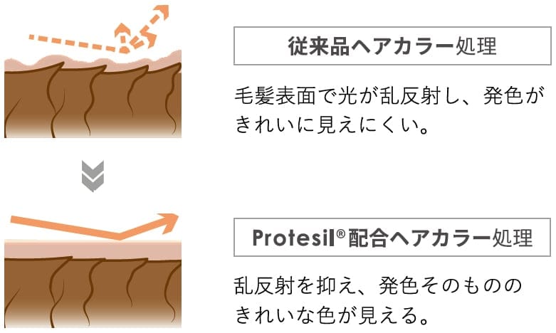 Protesil