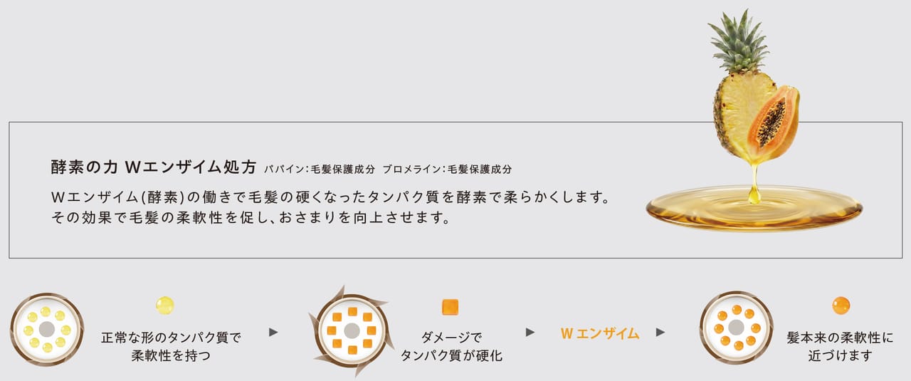 ダブルエンザイム