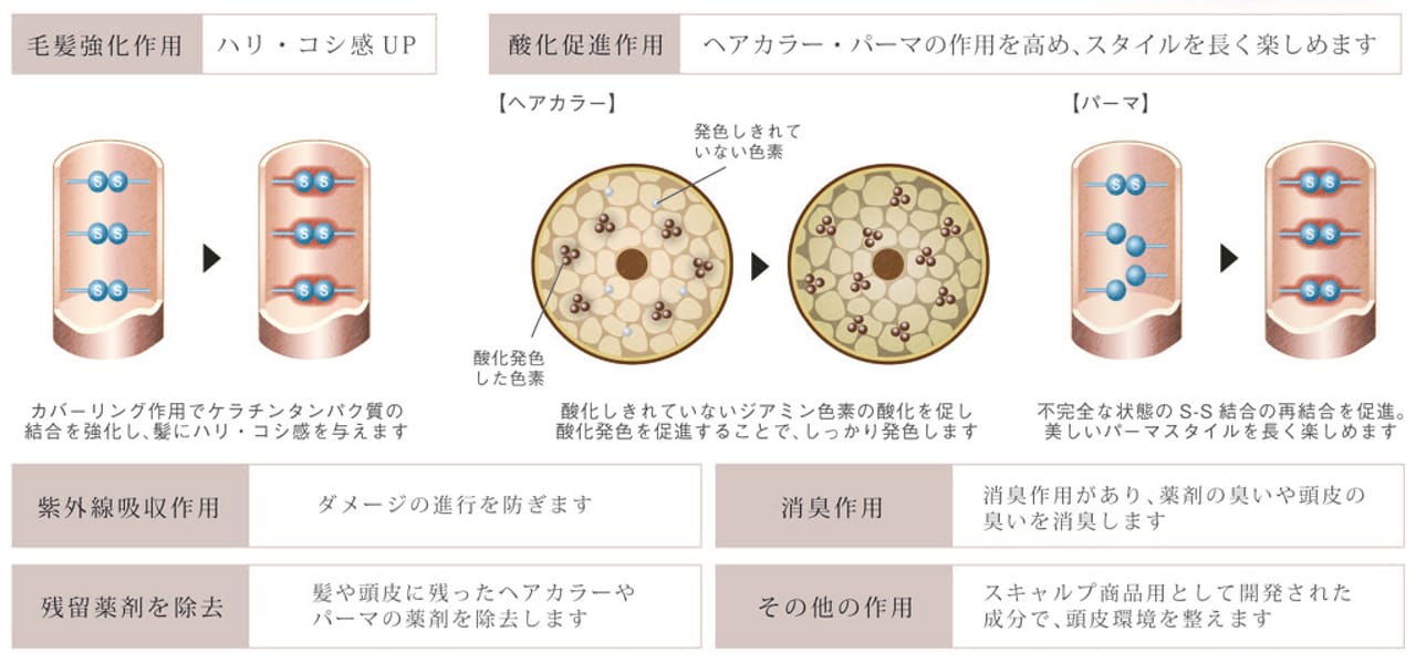 ヘマチンで、はずむような弾力のある髪へ
