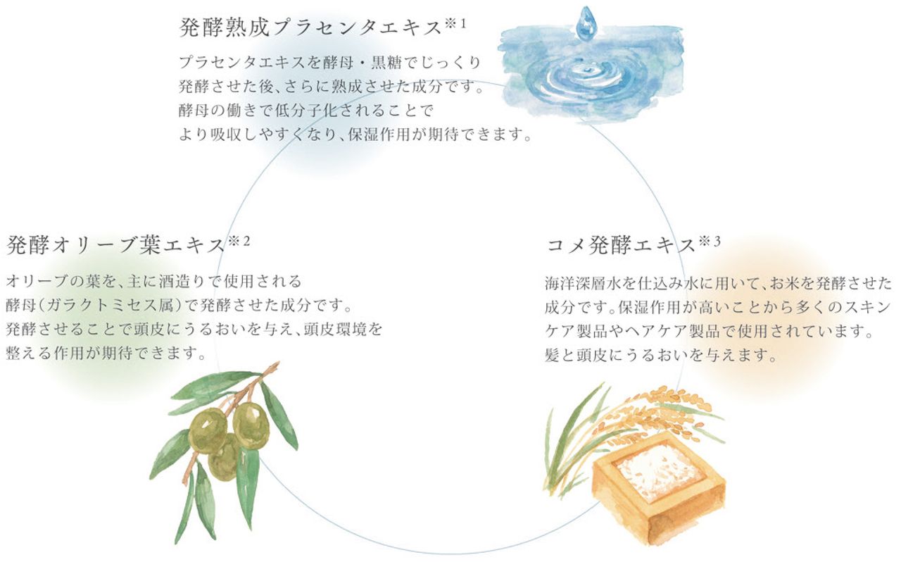 3つの発酵成分で叶える、うるおいに満ちた髪と頭皮