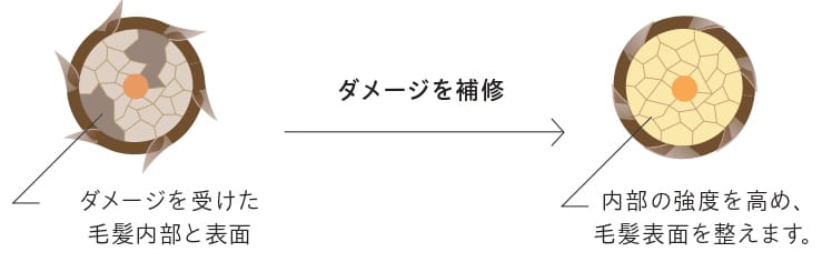 ダメージ補修(アミノカクテル × ケラチン × 18 - MEA)
