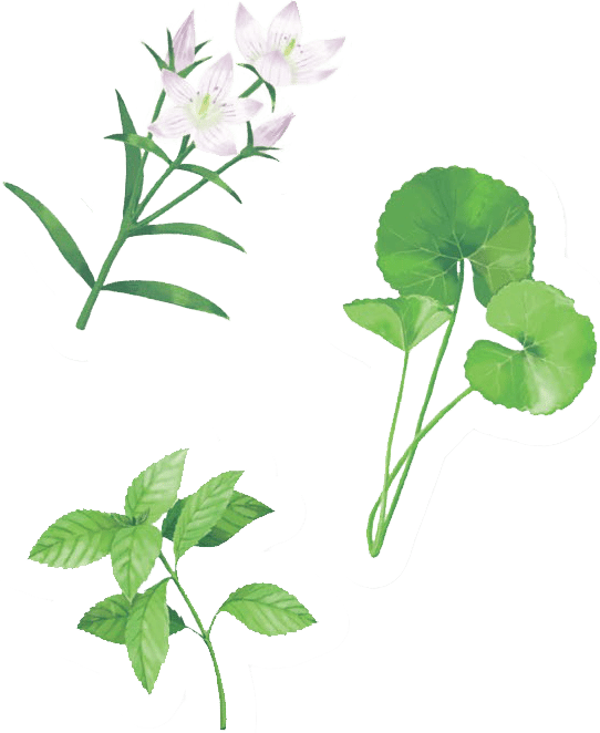 夏の強い日差しには頭皮にも降り注ぐ頭皮のダメージに