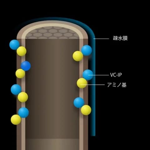 カラーアンカリング テクノロジー