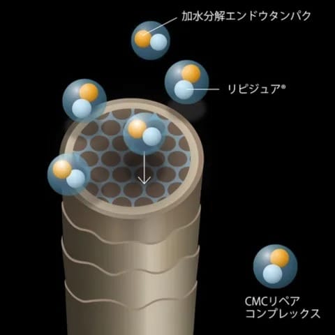 CMCリペアコンプレックス配合で髪を保護