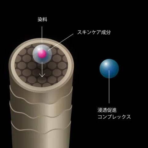 浸透促進コンプレックス処方