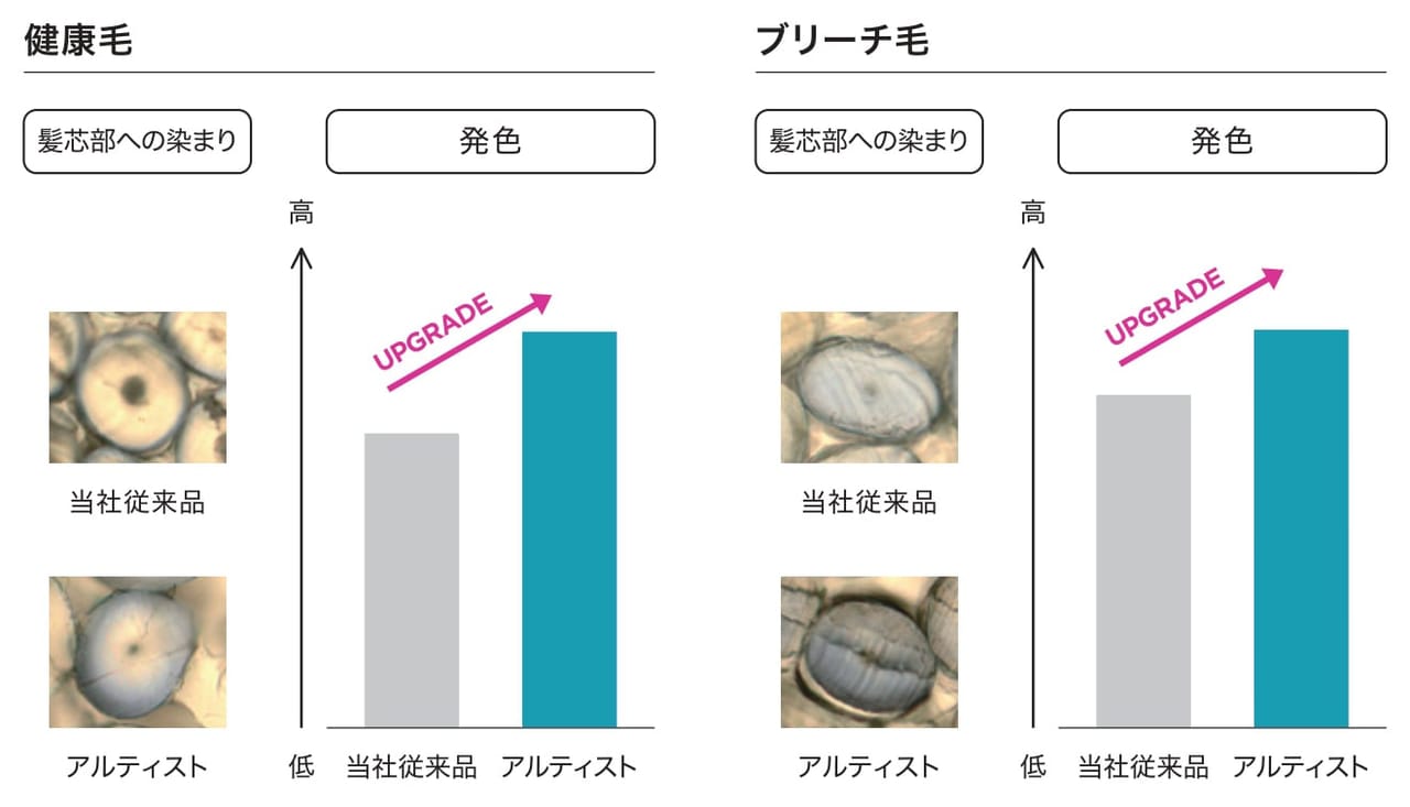 優れた発色と髪芯部への染まり