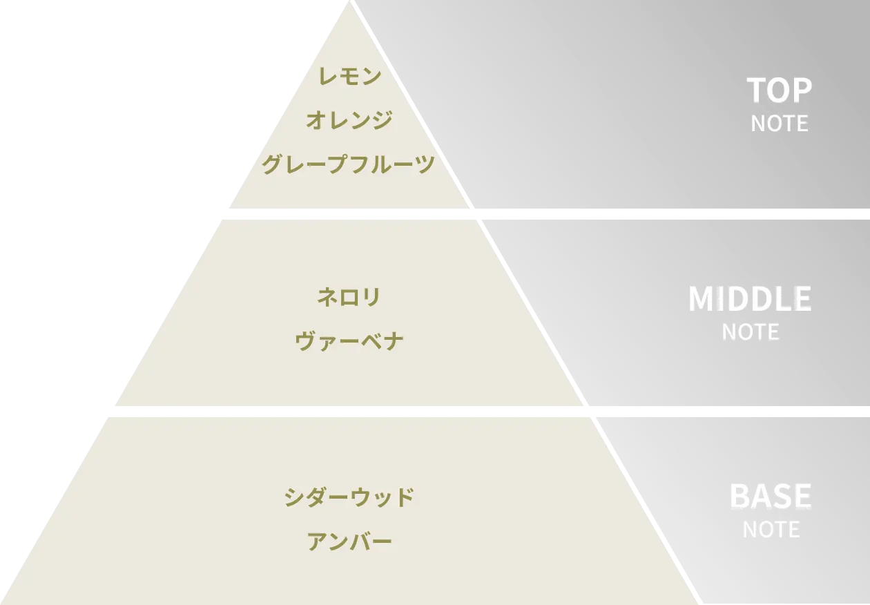 ハーブが爽やかさを添えるアンバーオレンジの香り
