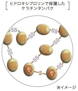 コルテックス保護テクノロジーで熱ダメージを抑える