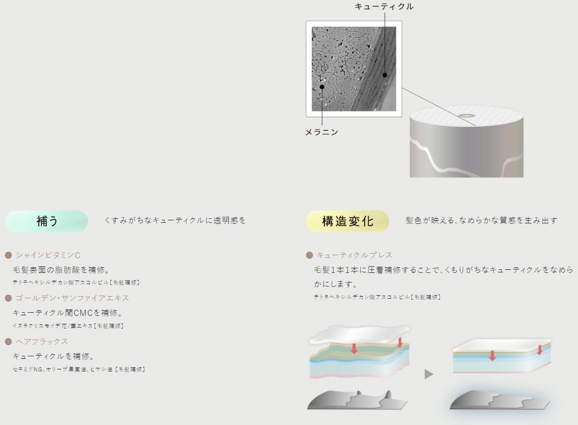 発色を叶える髪の透明感　キューティクルプレス処方