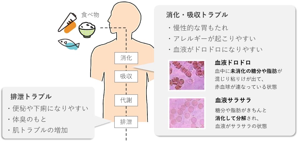 酵素不足が招くトラブル