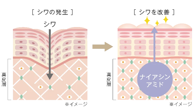 目もとの印象を格上げ！　本気の“美白※シワ改善”クリーム