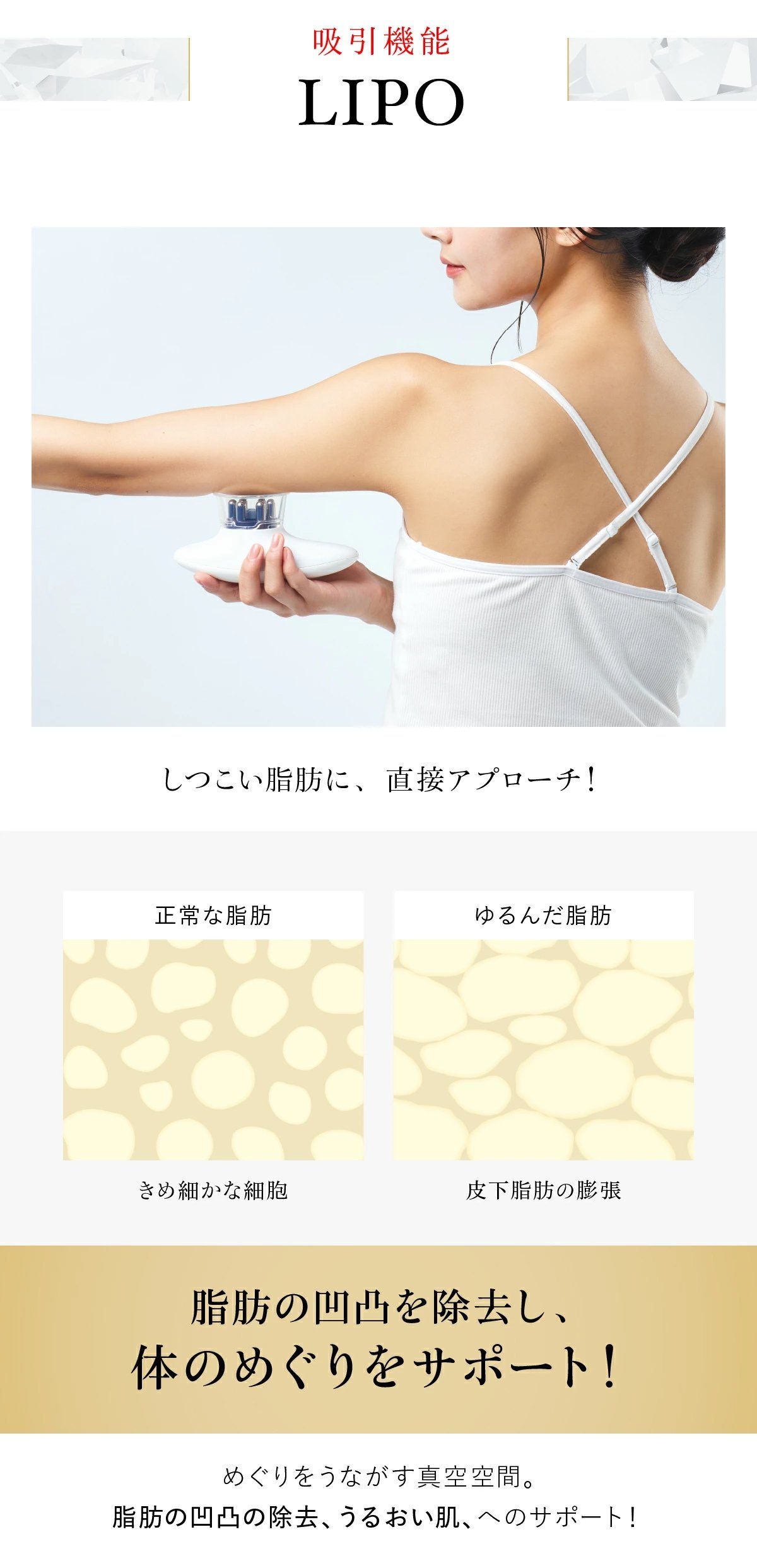 WAVEWAVE EMS スリムエステの業務用通販サイト【b-zone】(REVO+)