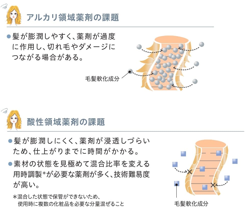 ブリーチやエイジングダメージによるパサつきやうねりをおさえ、絹のようにやわらかく