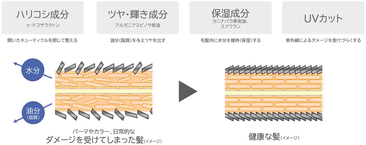 スタイリングとダメージケアを両立