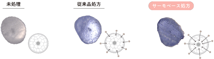 毛髪すみずみまで染料が浸透