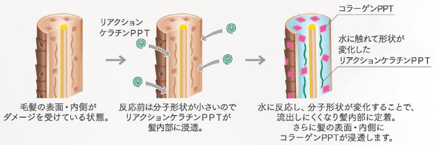 ファルジュア ベースミスト