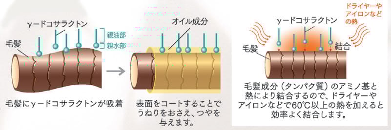 ファルジュア オイルショット