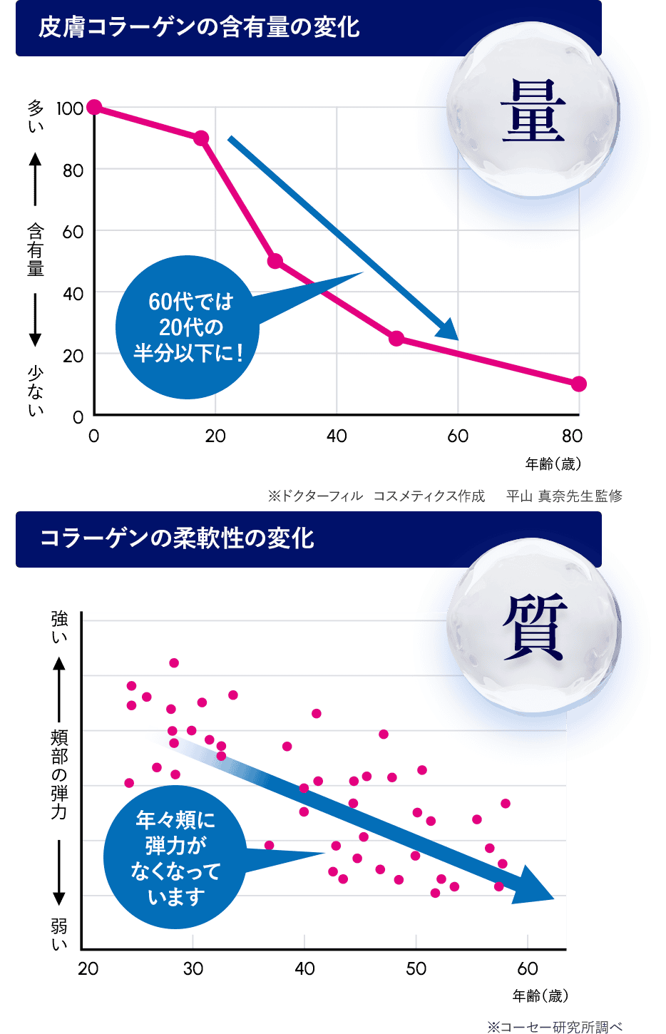 若々しい肌印象の条件は、コラーゲンの量×質