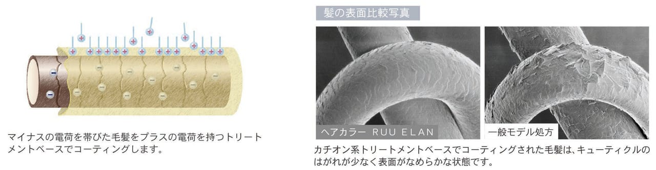 カチオン系トリートメントベースで、なめらかな触り心地