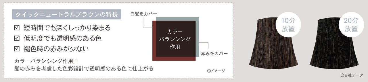 すばやく美しく染まるクイックニュートラルブラウン