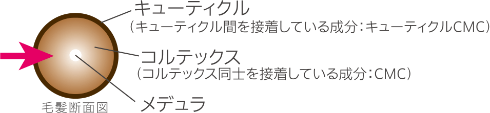 ダメージは外から。だからキューティクルのケアも外から