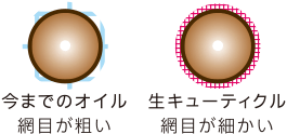 キューティクル“そのもの”の構造を再現した｢生キューティクルオイル｣とは