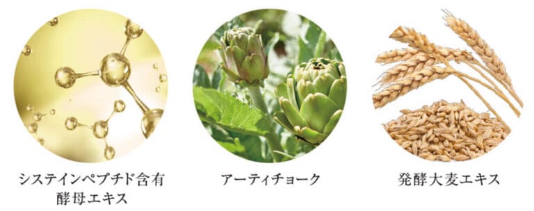 その他の配合成分