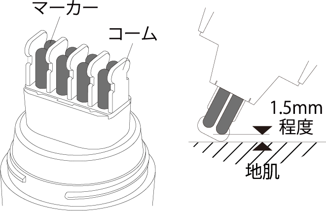 point 01 根元からきれいな仕上がり