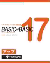 ヘアモード社 BASIC of BASIC Vol.17 アップ<一束(すき毛あり)>
