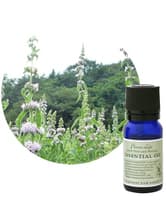 フレーバーライフ エッセンシャルオイル 薄荷(ハッカ) 10ml